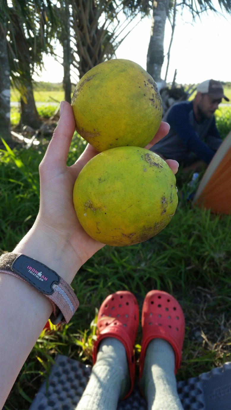 IMG_20160115_163208.jpg image