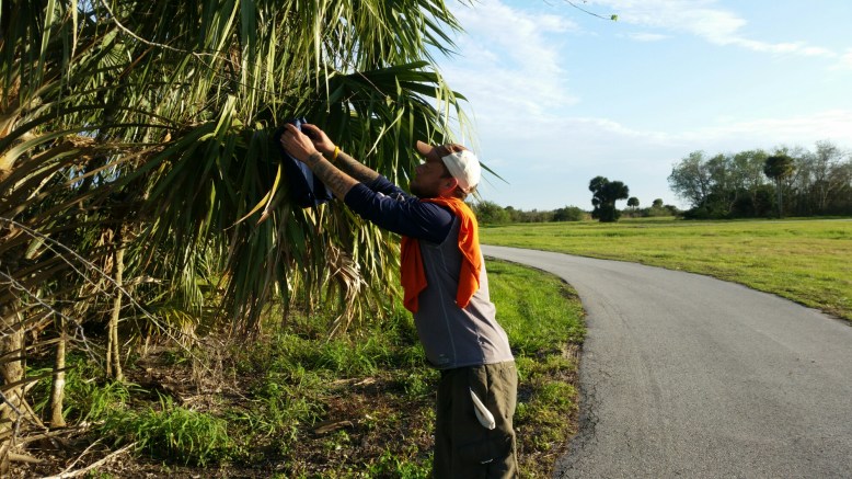 IMG_20160115_164708.jpg image