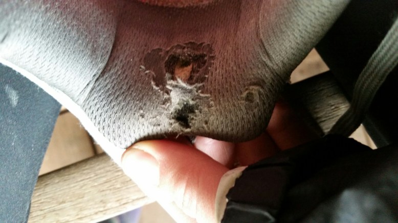 IMG_20160121_133519.jpg image