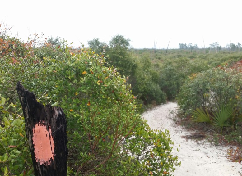 20160203_075511.jpg image