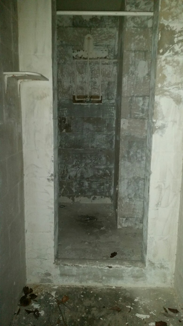 IMG_20160204_070852.jpg image