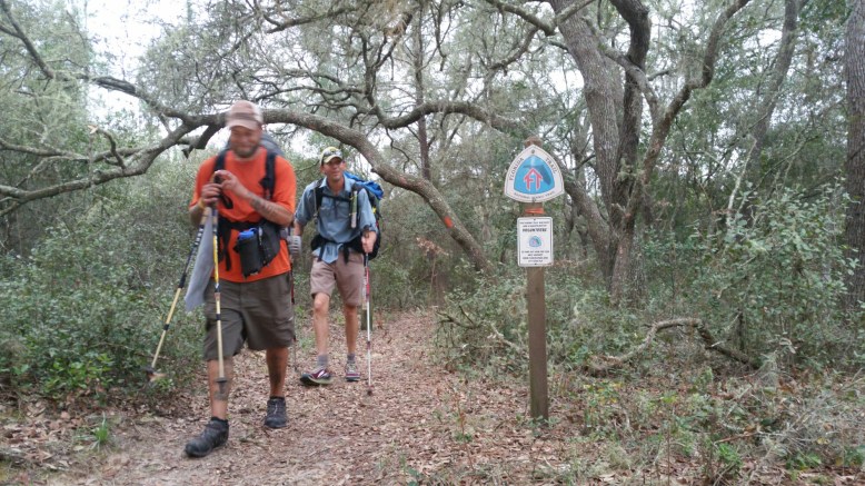 IMG_20160204_123717.jpg image