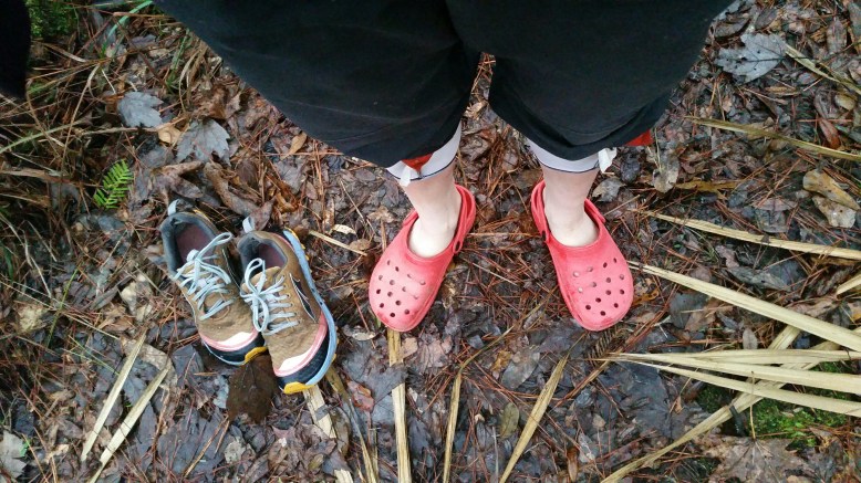 IMG_20160207_082449.jpg image