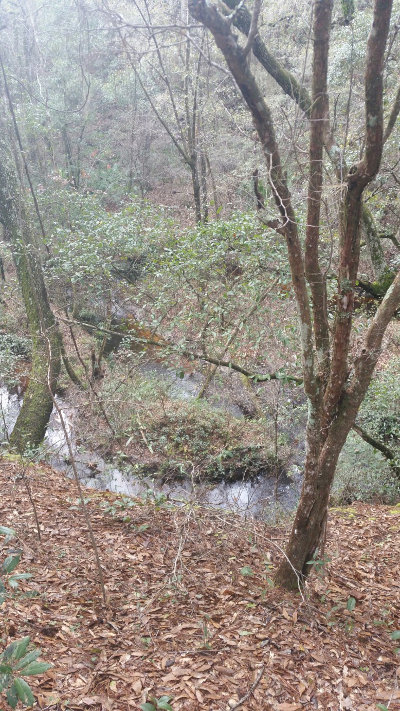 IMG_20160207_122229.jpg image