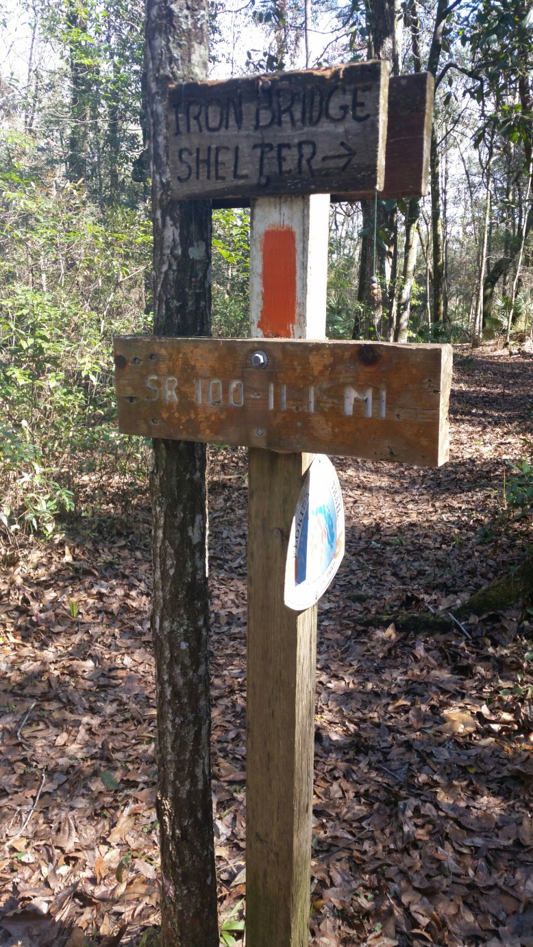 IMG_20160207_130352.jpg image