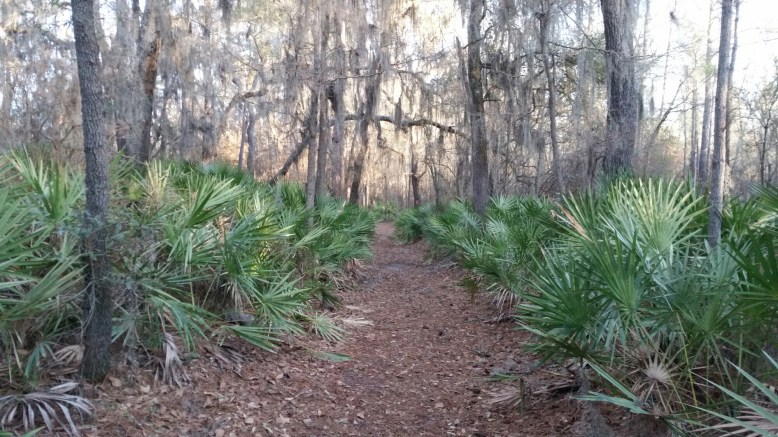 IMG_20160211_080302.jpg image