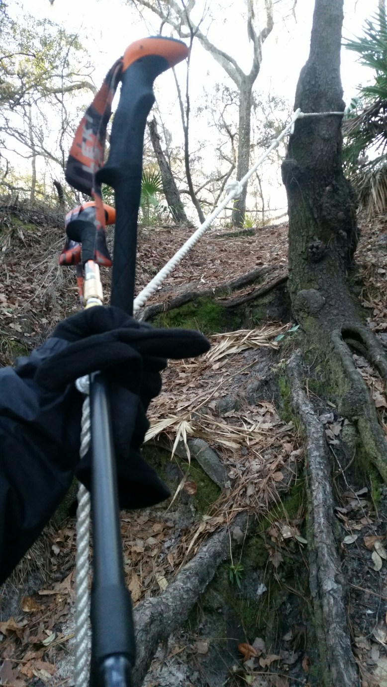 IMG_20160211_081953.jpg image