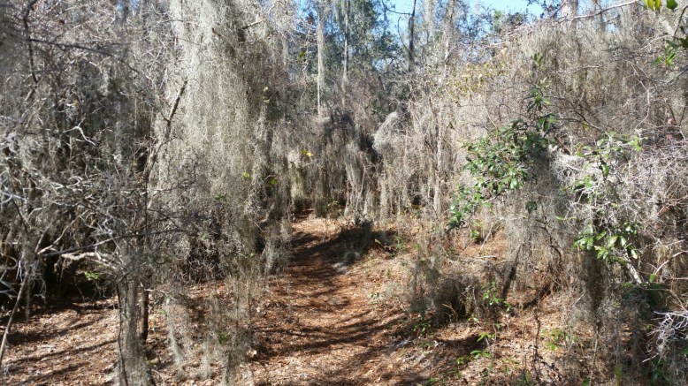 IMG_20160211_132427.jpg image