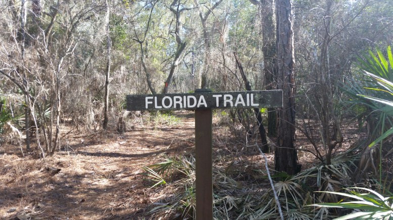 IMG_20160211_143306.jpg image