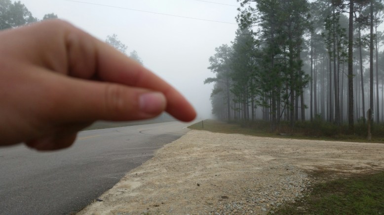 IMG_20160222_075553.jpg image