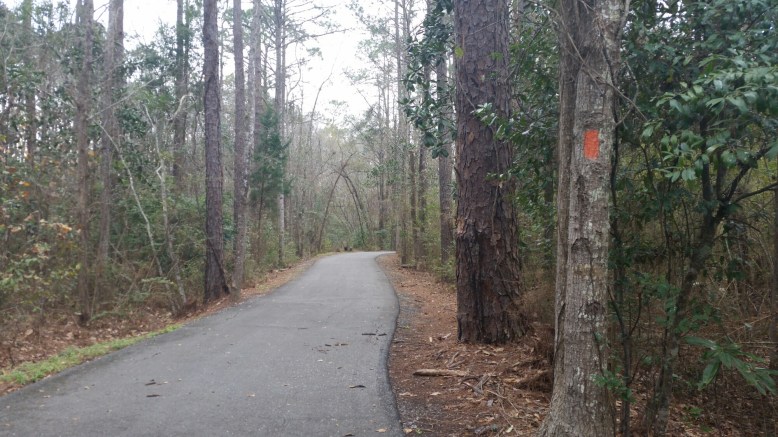 IMG_20160222_145645.jpg image