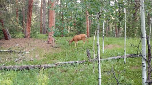 13690992_10157230804305074_5820105245703193266_o