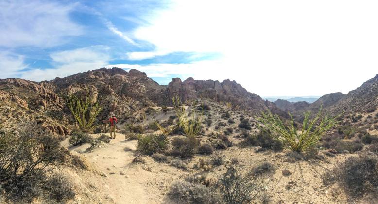 14715582_10157704596480074_5956784128560343722_o