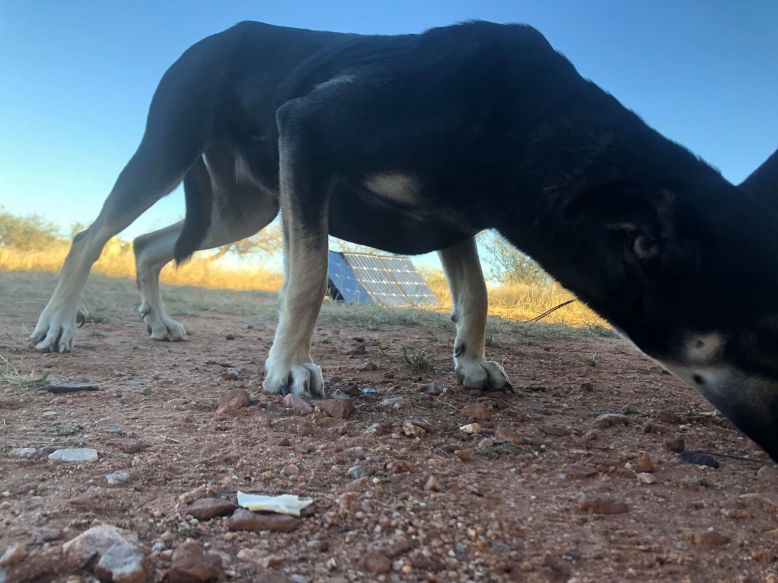 48269272_531351697637245_879426791880523776_n