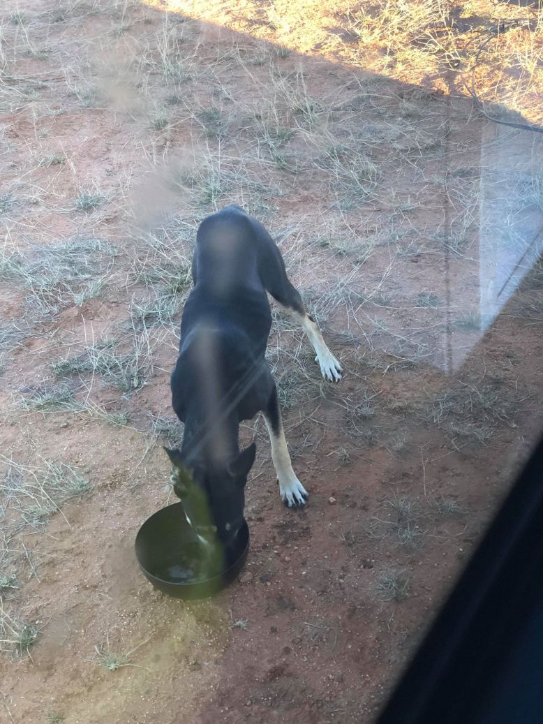 48283452_386382202099001_8377218902077210624_n