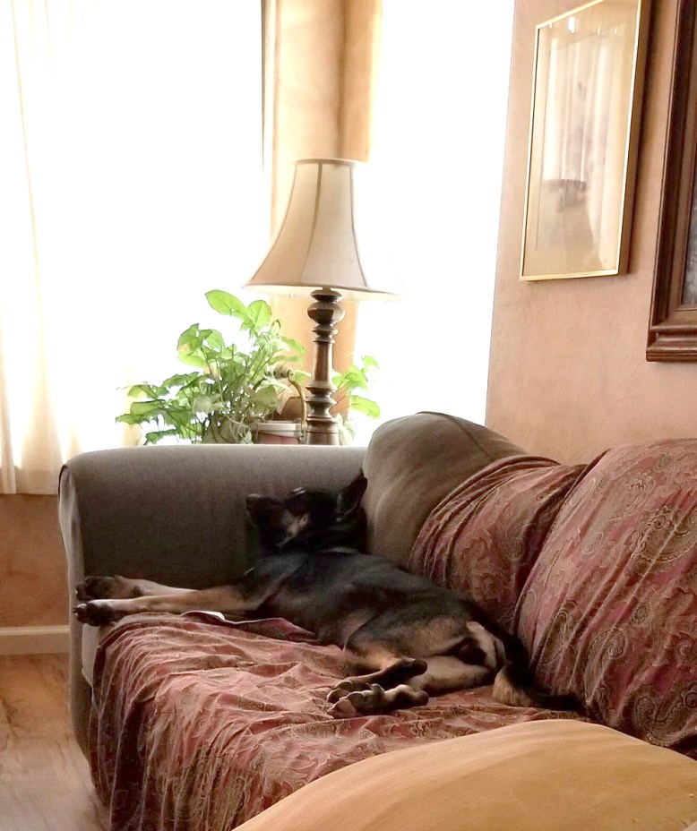 48382547_2113380905392628_3100830486356819968_n copy